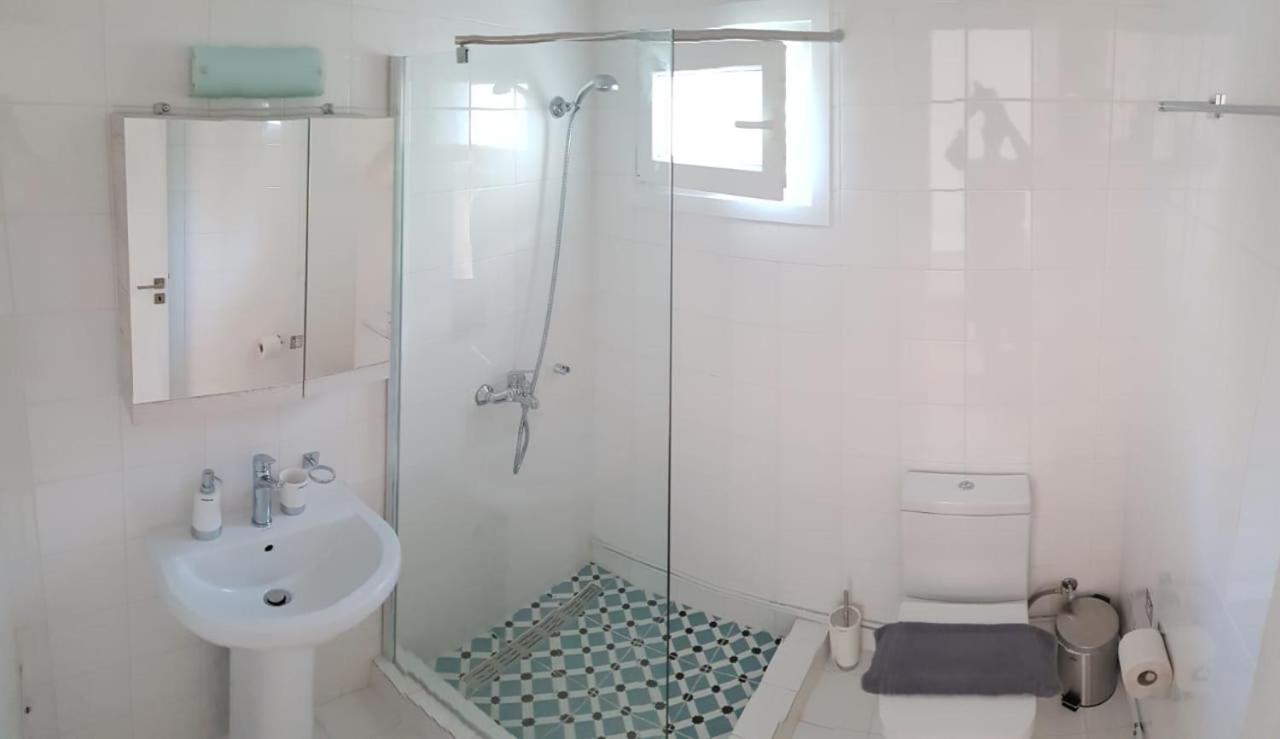 Anemona Apartments And Studios Vasilikí Kültér fotó