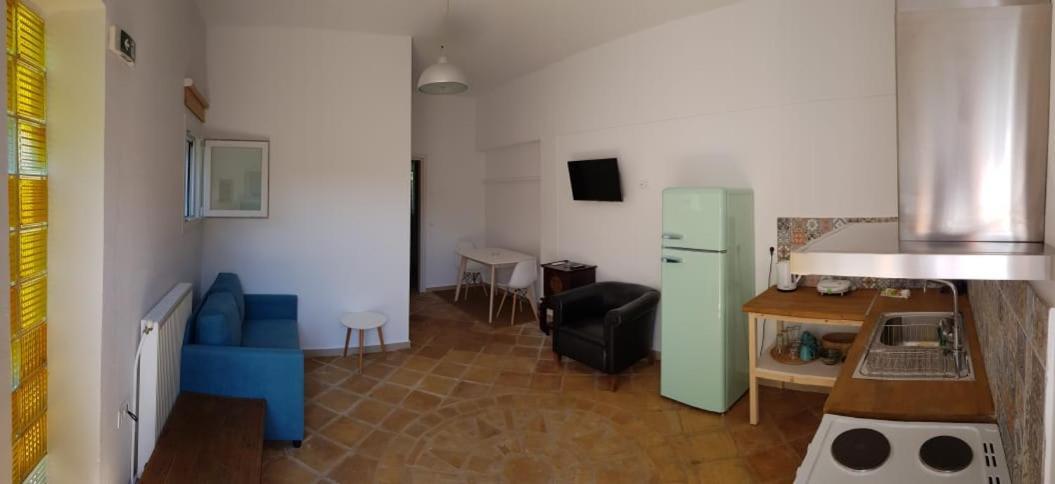 Anemona Apartments And Studios Vasilikí Kültér fotó