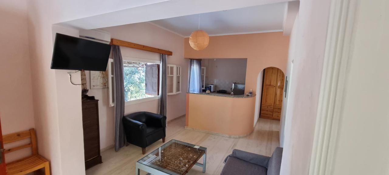 Anemona Apartments And Studios Vasilikí Kültér fotó