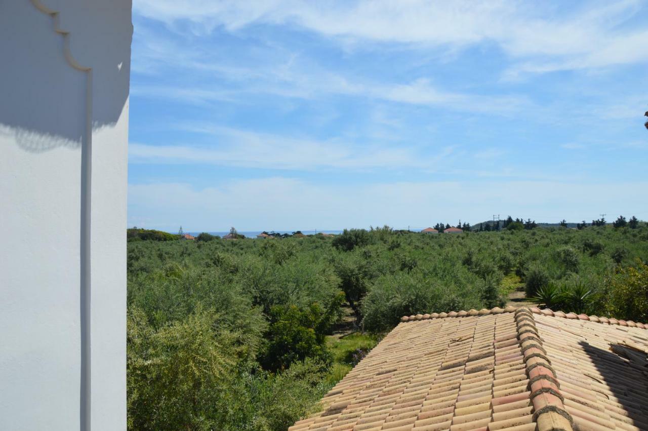 Anemona Apartments And Studios Vasilikí Kültér fotó