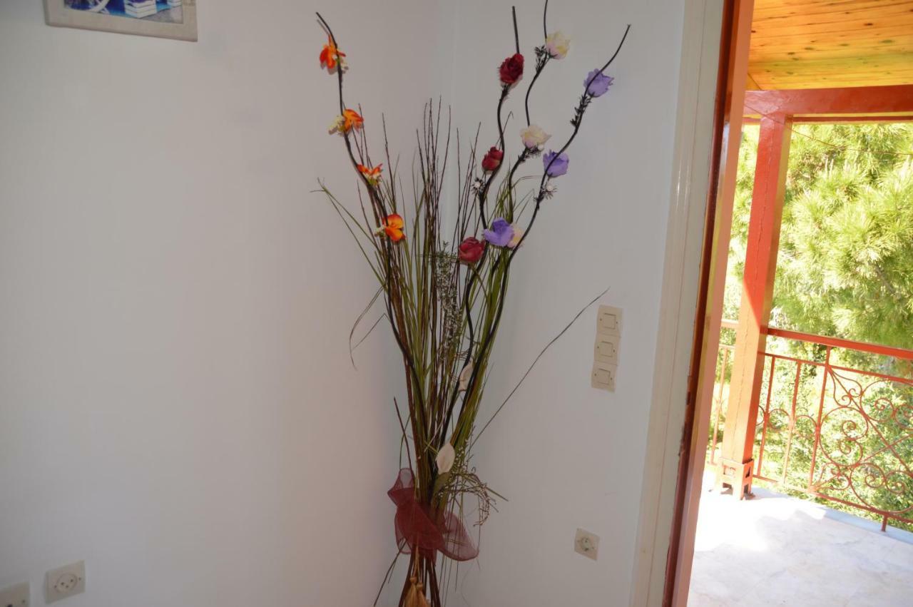 Anemona Apartments And Studios Vasilikí Kültér fotó
