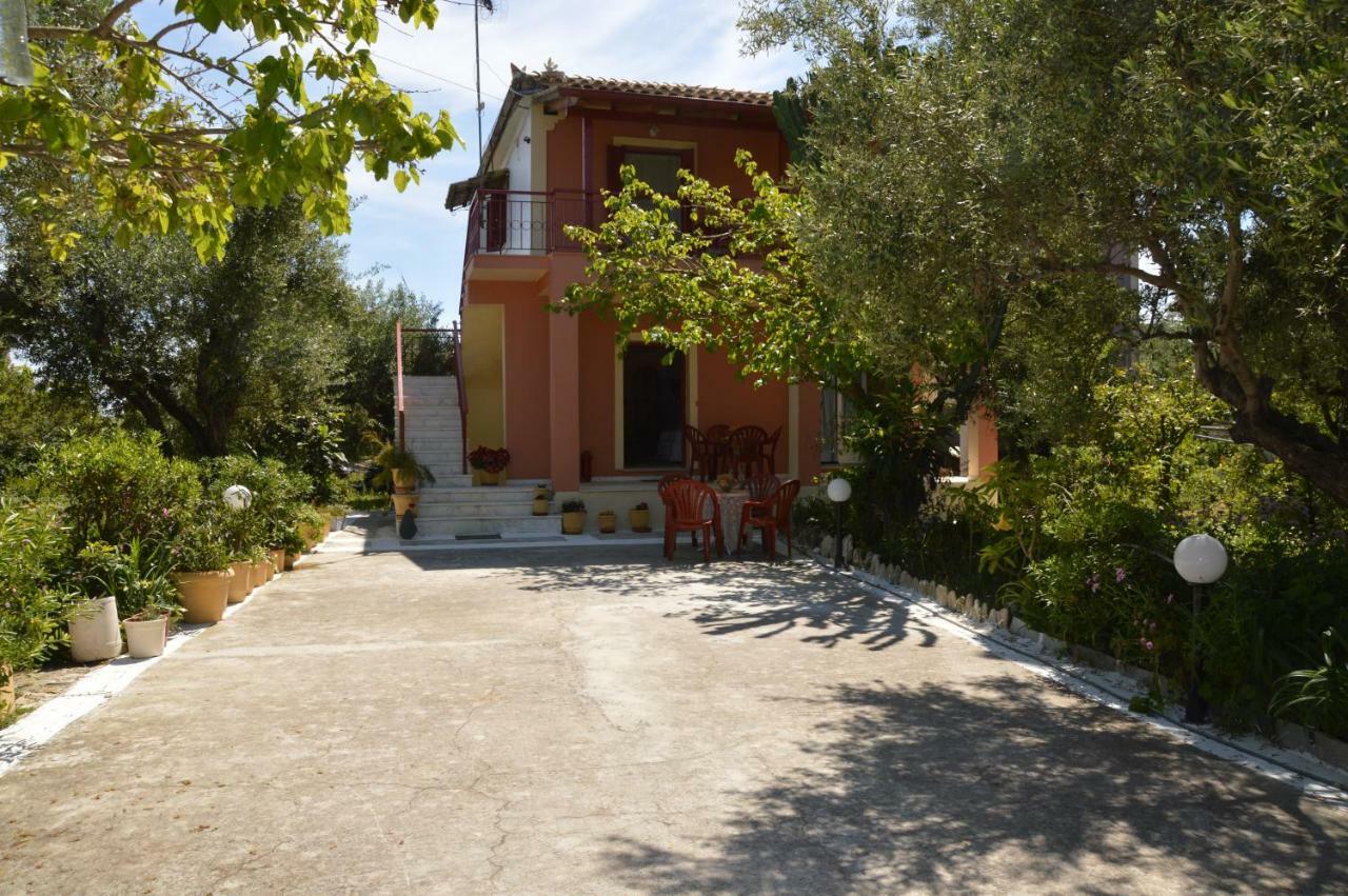 Anemona Apartments And Studios Vasilikí Kültér fotó