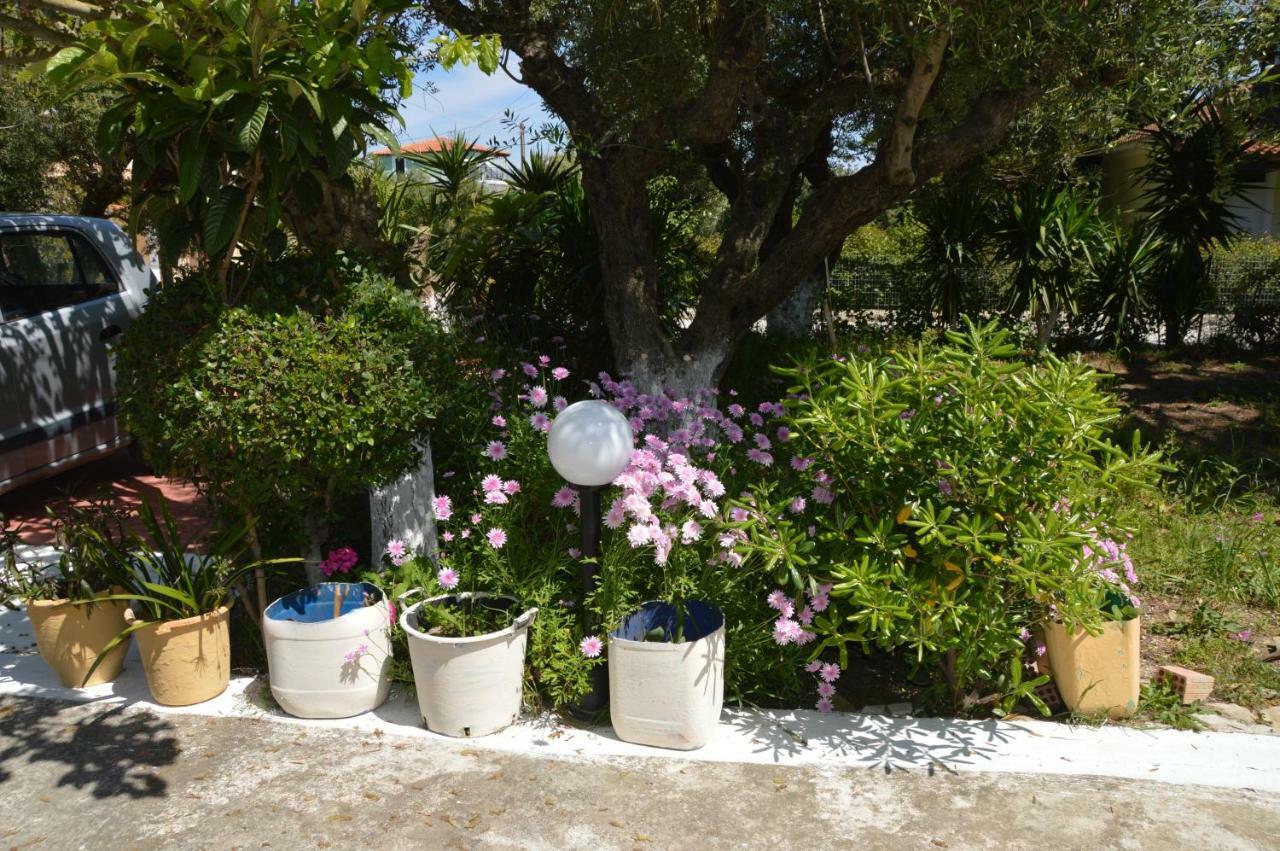 Anemona Apartments And Studios Vasilikí Kültér fotó